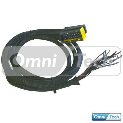 Mercedes PLD Unit 2M HARNESS c/w PLUG 16-WAY & TERMS